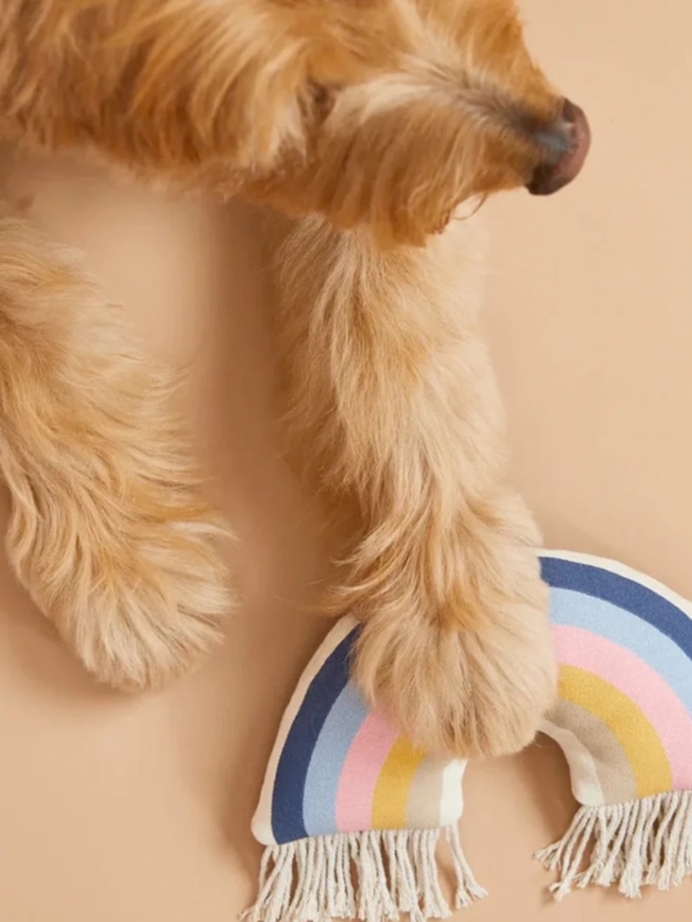 Harry Barker Rainbow Canvas Dog Toy NWT Boho Pet Toy Fringe